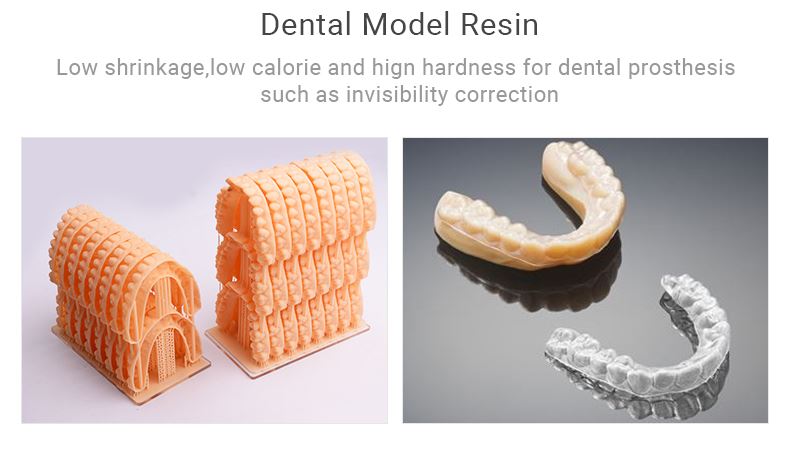 Feature10_04Multi Materials Dental Resin
